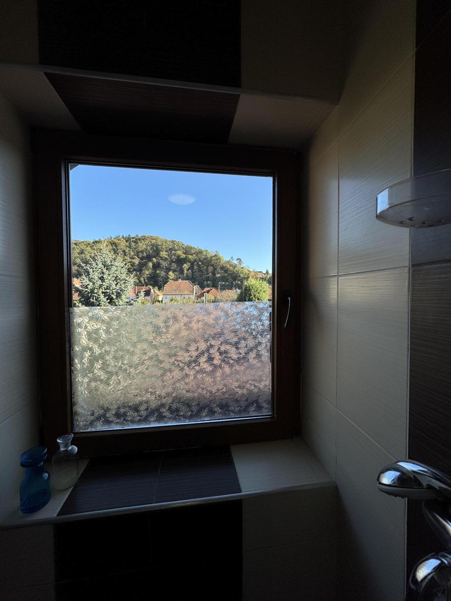 Vik'S Home シギショアラ エクステリア 写真